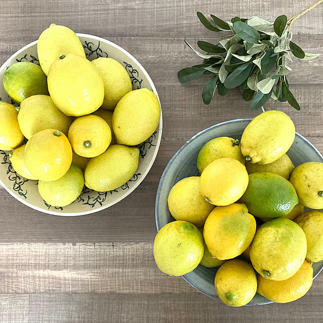 maki_papercraftさんの実例写真