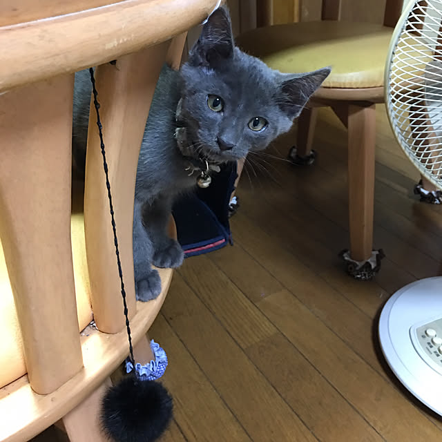 kmakkyiさんの実例写真