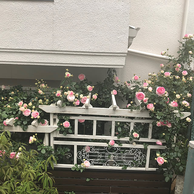 shabbycottage_saoriさんの部屋
