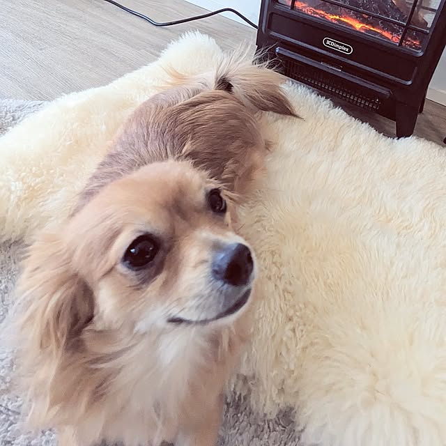 noahさんの部屋