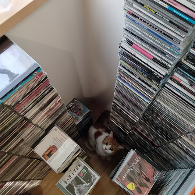 Coney_Island_NYさんの実例写真