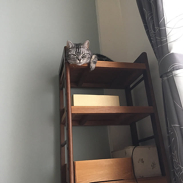 mikomaruさんの実例写真