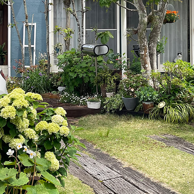 nobikoさんの部屋