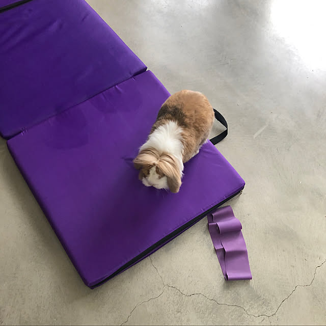 naokoomuraさんの実例写真