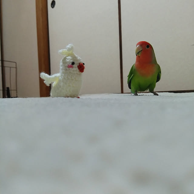 toratanさんの実例写真