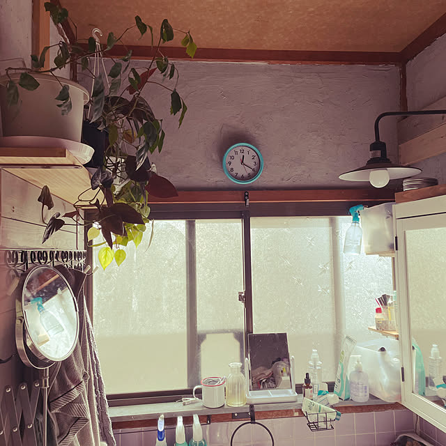 ナチュラル/DIY/観葉植物/バス/トイレのインテリア実例 - 2022-02-15 12:30:29