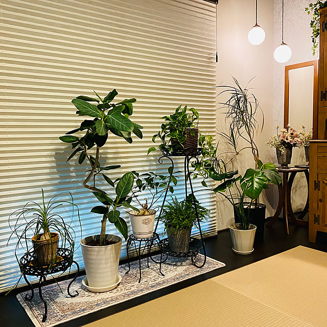 yumirilさんの部屋