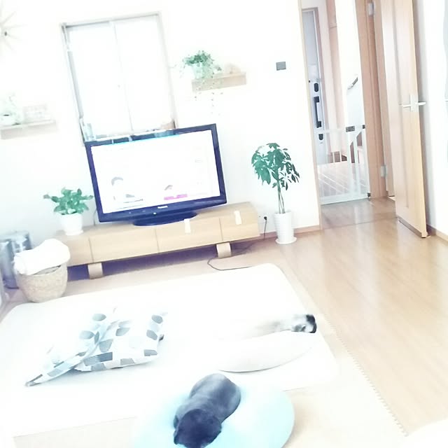 miruban1010さんの実例写真