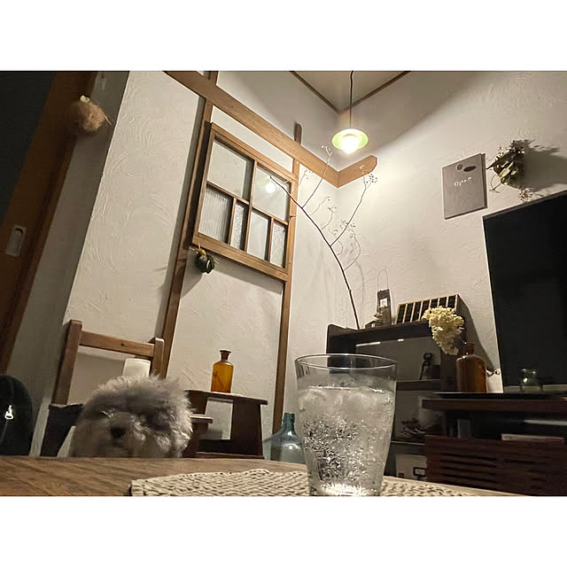 meguko.ryanさんの部屋
