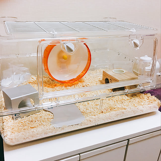 ayaさんの実例写真