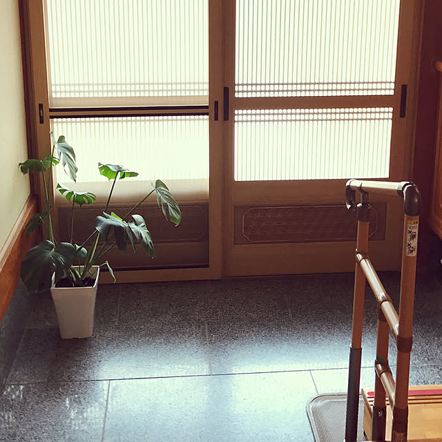 collonさんの実例写真