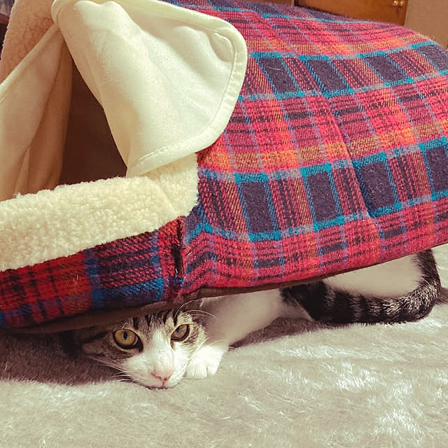 teruminさんの実例写真