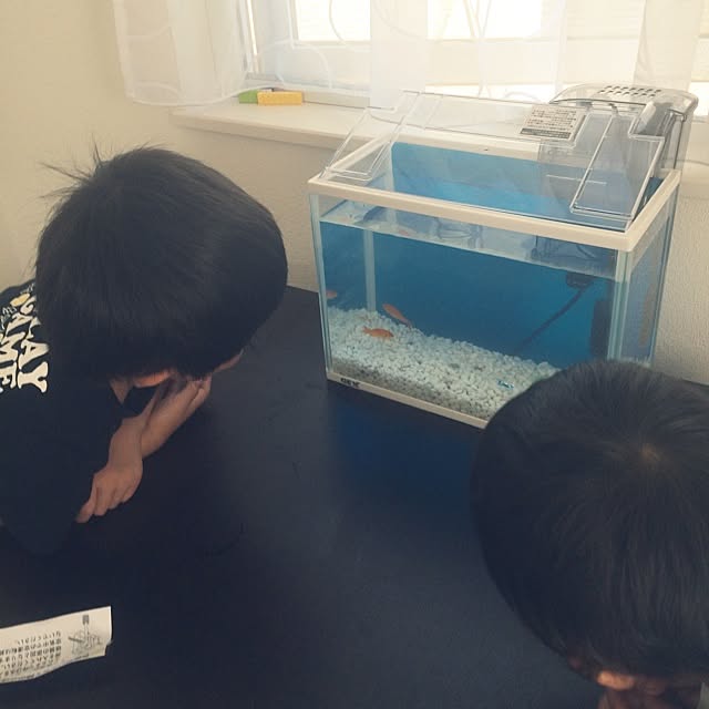 yuko1164さんの実例写真