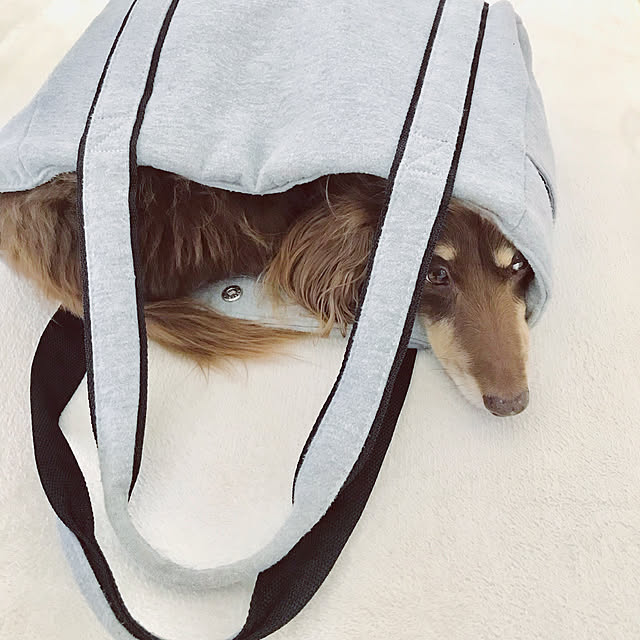 choco-curiさんの実例写真