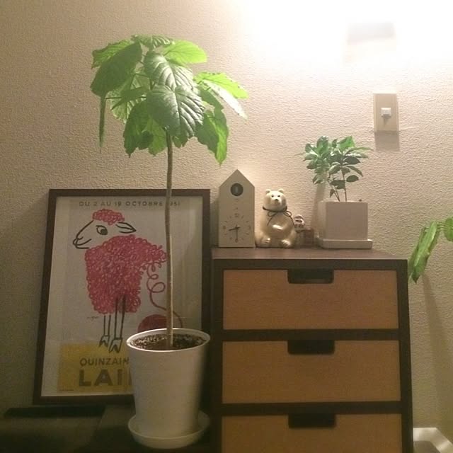 chamaruさんの実例写真