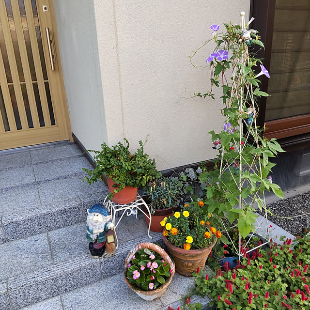 dariaさんの実例写真