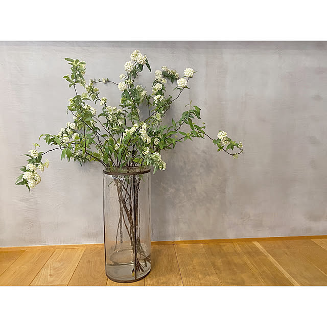 maa.210__houseさんの実例写真