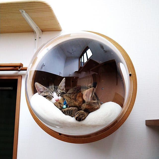 mochicoさんの実例写真