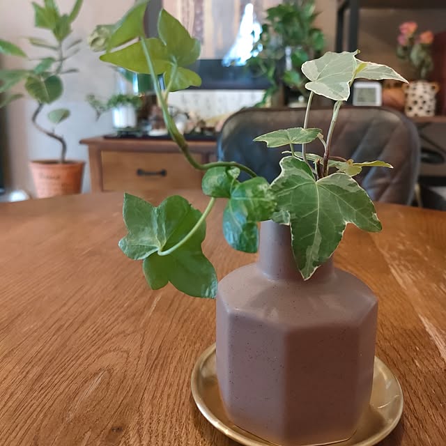 Yoko622さんの部屋