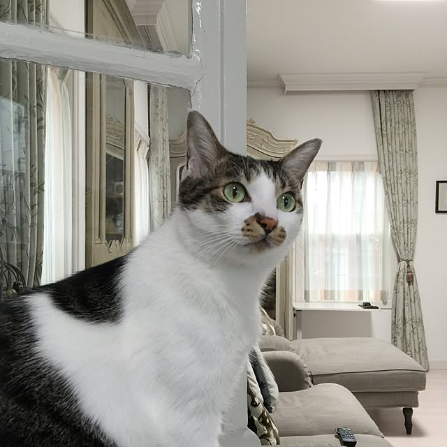 yuchiさんの実例写真