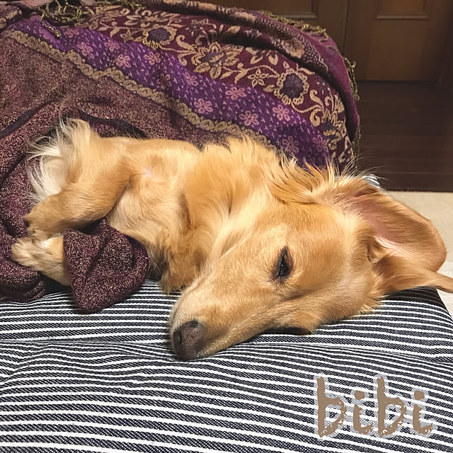 bibianさんの実例写真
