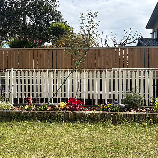 Haruさんの実例写真