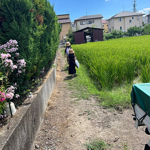 mieeeさんの部屋