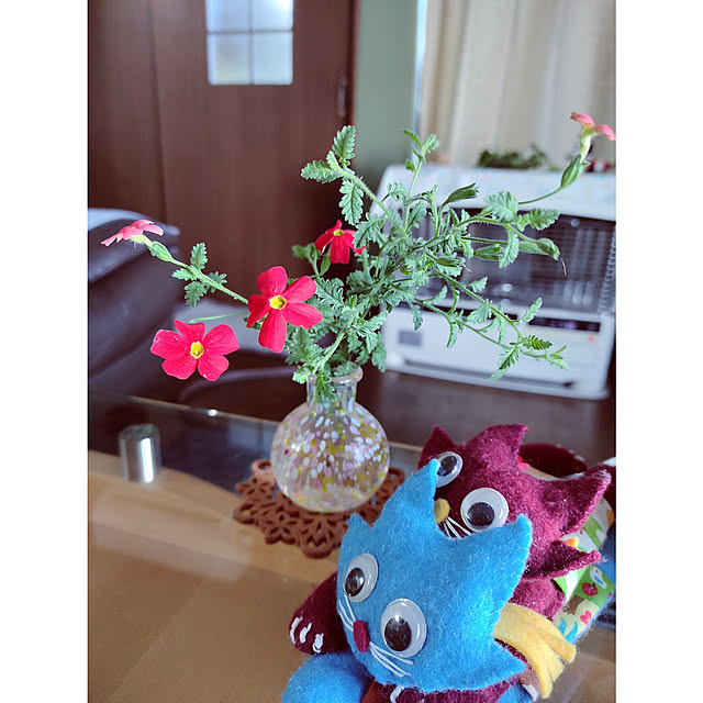 kiraさんの実例写真