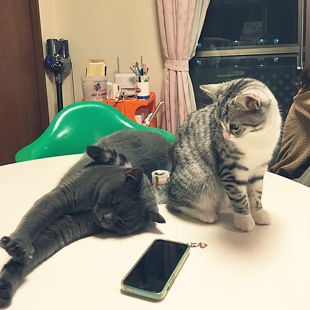 Shojiさんの実例写真