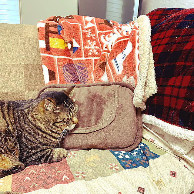 simaocchiさんの実例写真