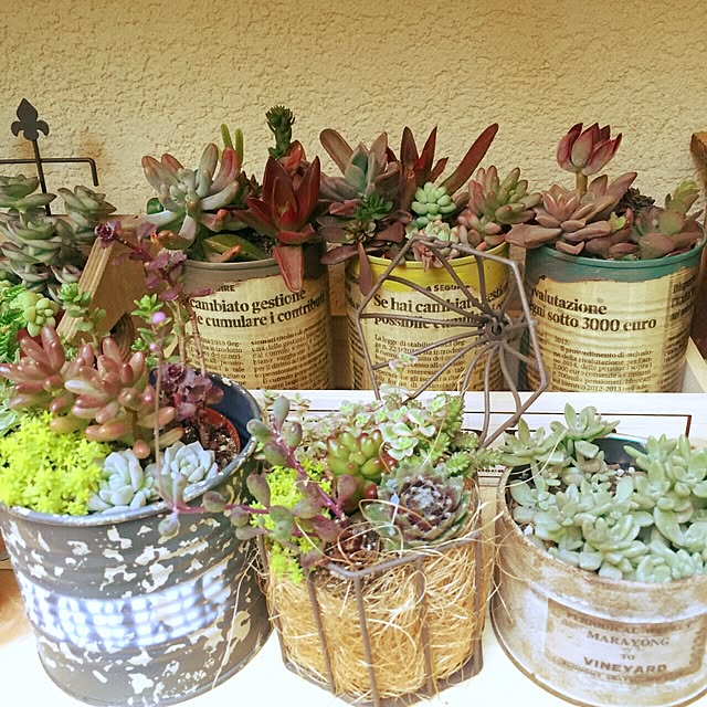 MAKIさんの実例写真