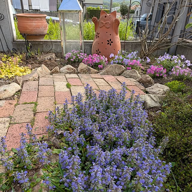 kikufujiさんの実例写真