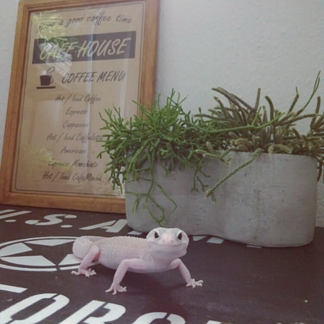UGさんの実例写真