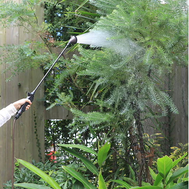 Royal_Gardeners_Clubさんの実例写真