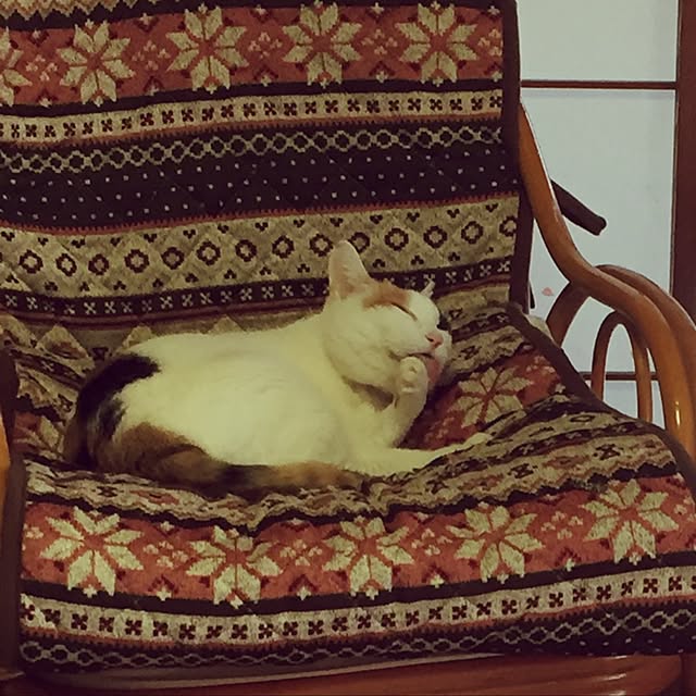 yocchiさんの実例写真