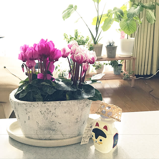 pakilaさんの実例写真