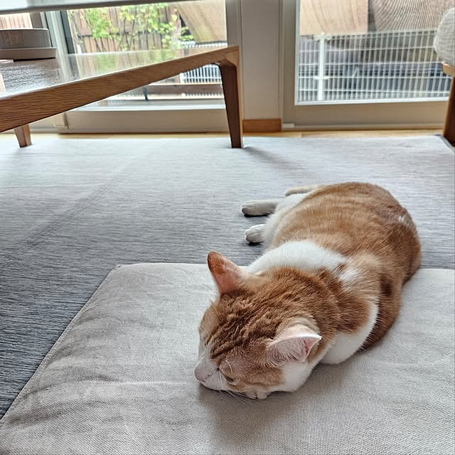 koyurizuさんの部屋