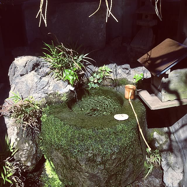 chacoさんの実例写真