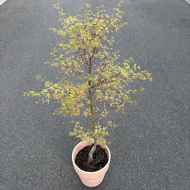 poi.cueさんの実例写真