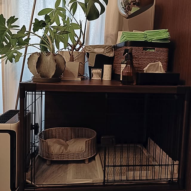 coco.Apartmanさんの実例写真