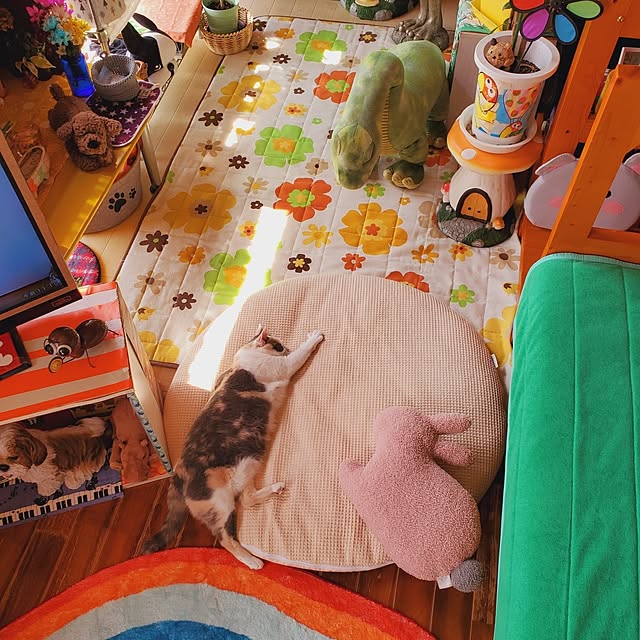 kumutanさんの部屋