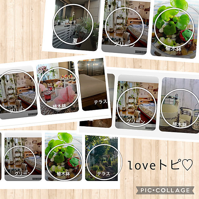 CoCo0617さんの実例写真