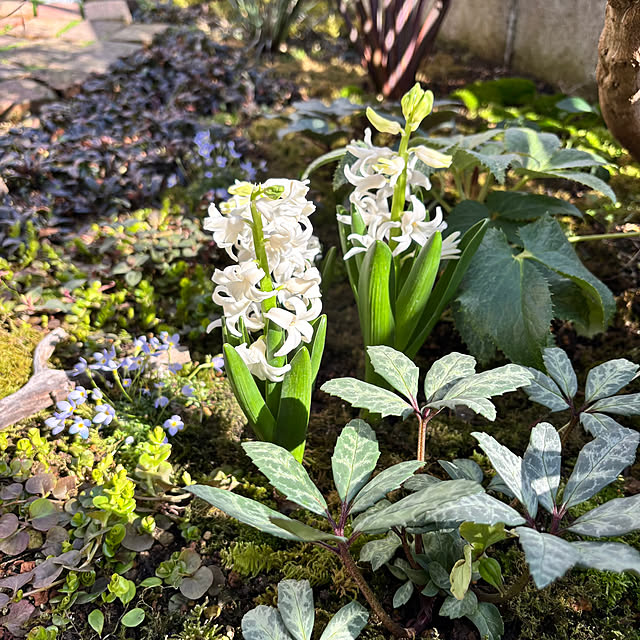 kyoko1124koさんの部屋