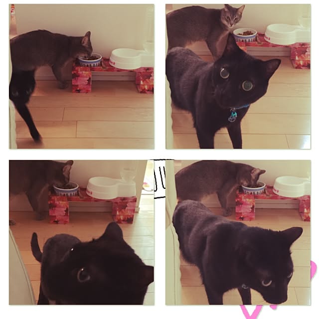 mi_koさんの実例写真