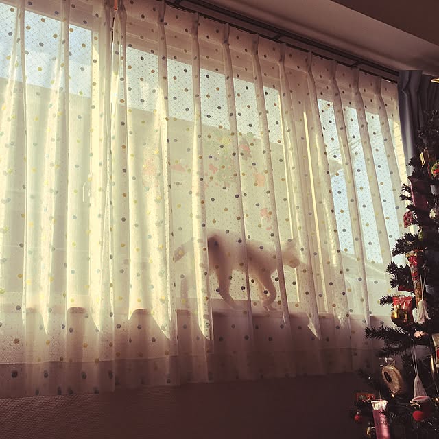 towaさんの実例写真