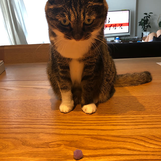 RuRuさんの実例写真