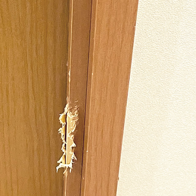 kawauso15さんの部屋