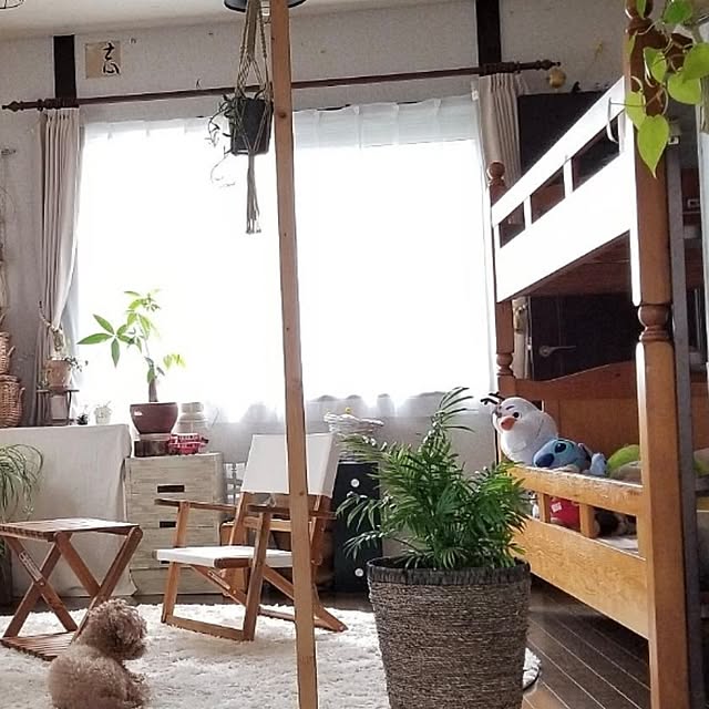 midoriさんの部屋