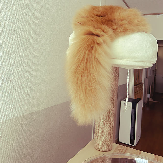 junさんの実例写真