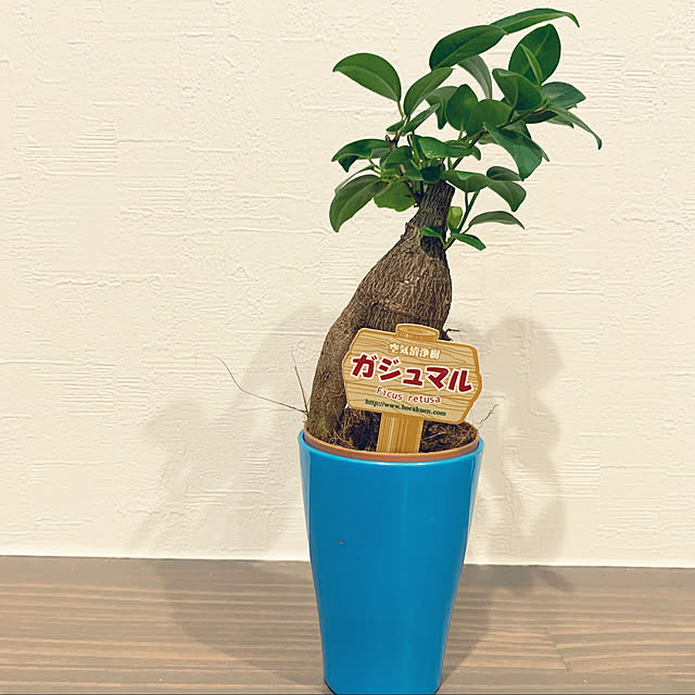 lead2784さんの実例写真